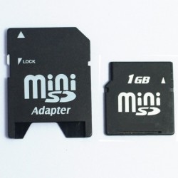 TARJETA MINI SD 1GB